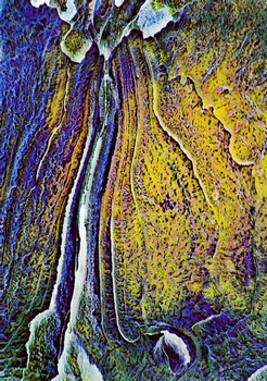 A 11K